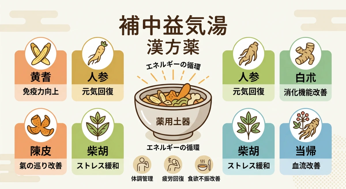 補中益気湯とは?基本的な特徴と働き