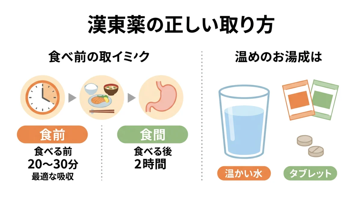 補中益気湯の正しい飲み方(食前・食間のタイミングや注意点)を分かりやすくまとめたイラスト