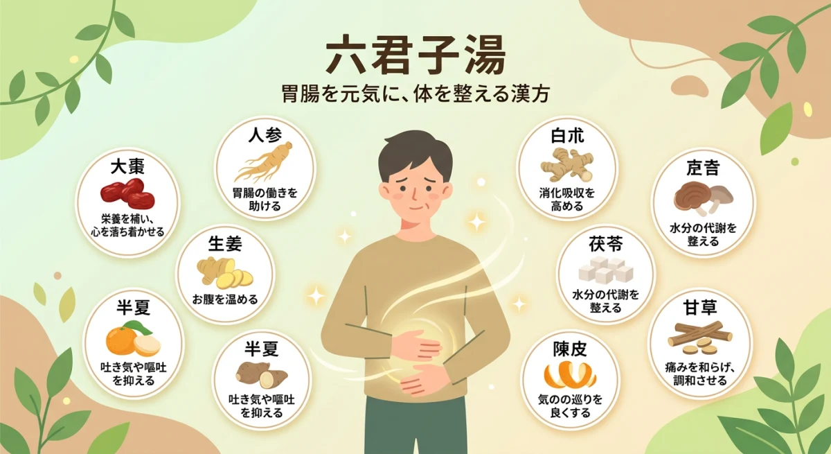 六君子湯とは?基本的な効果と効能をわかりやすく解説