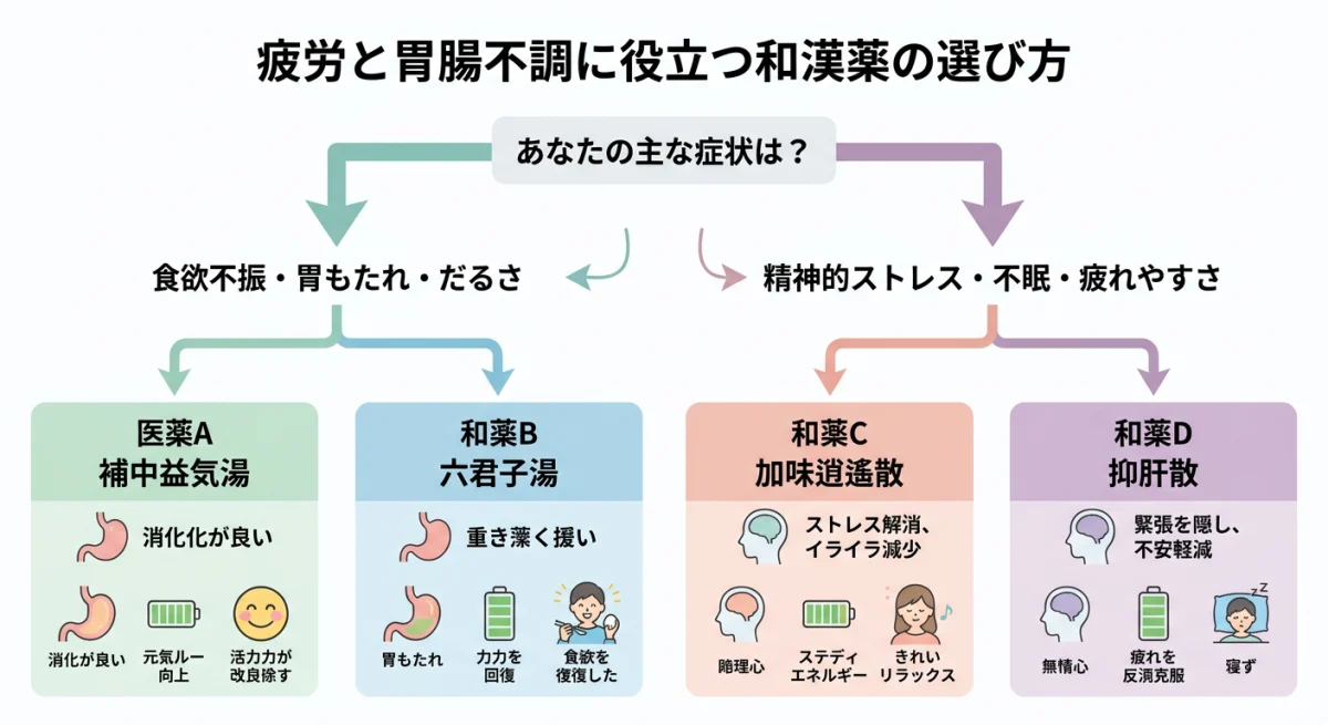 六君子湯、補中益気湯、四君子湯、半夏厚朴湯の特徴と使い分け