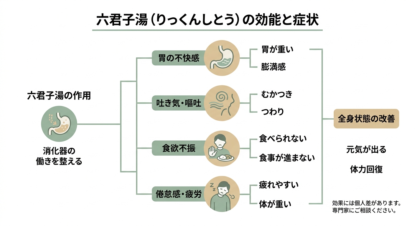 六君子湯の主な効果と適応症状