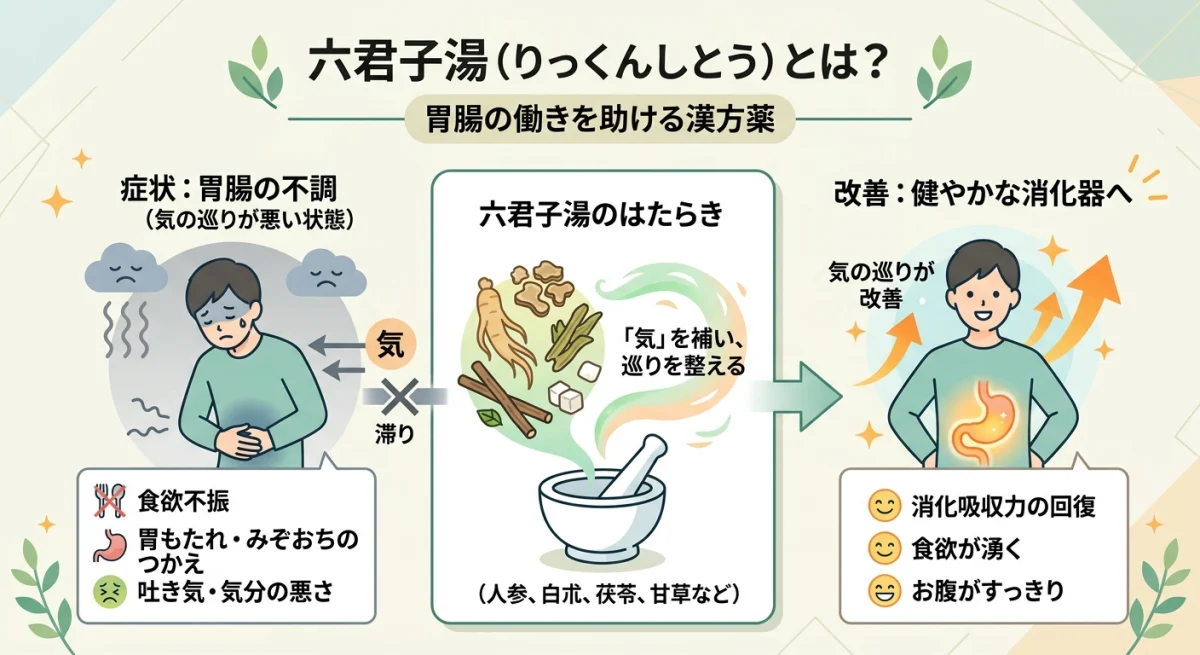 胃腸の不調に効果的な六君子湯の役割