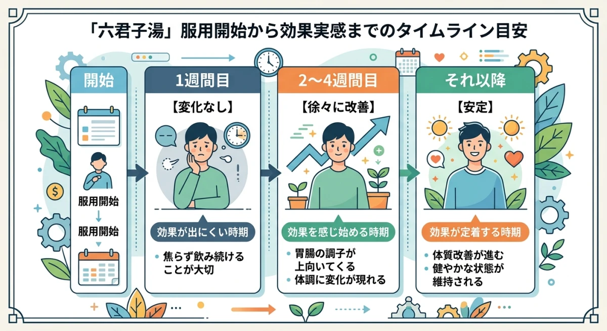 六君子湯の効果が出るまでの期間と服用継続の目安
