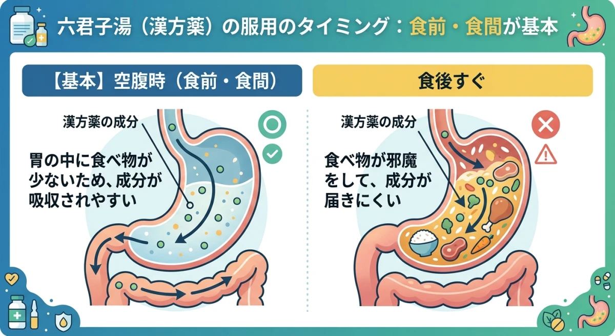 食前・食間が漢方の吸収に適していることを示す胃の構造図