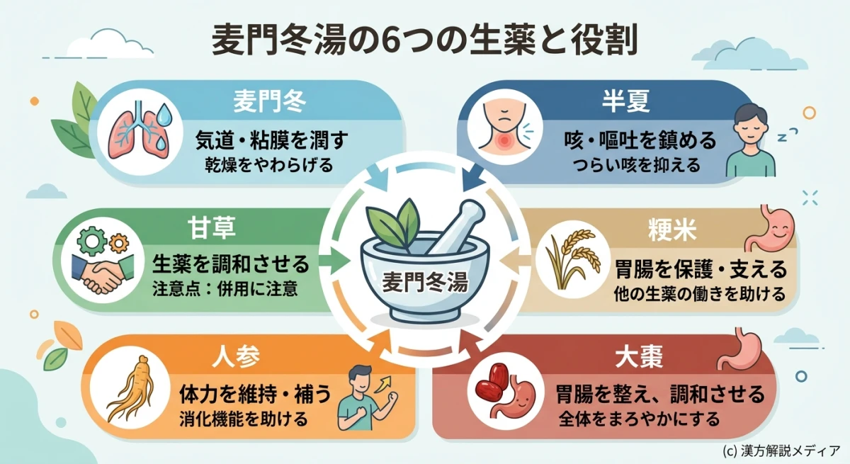 麦門冬湯を構成する6つの生薬とその役割