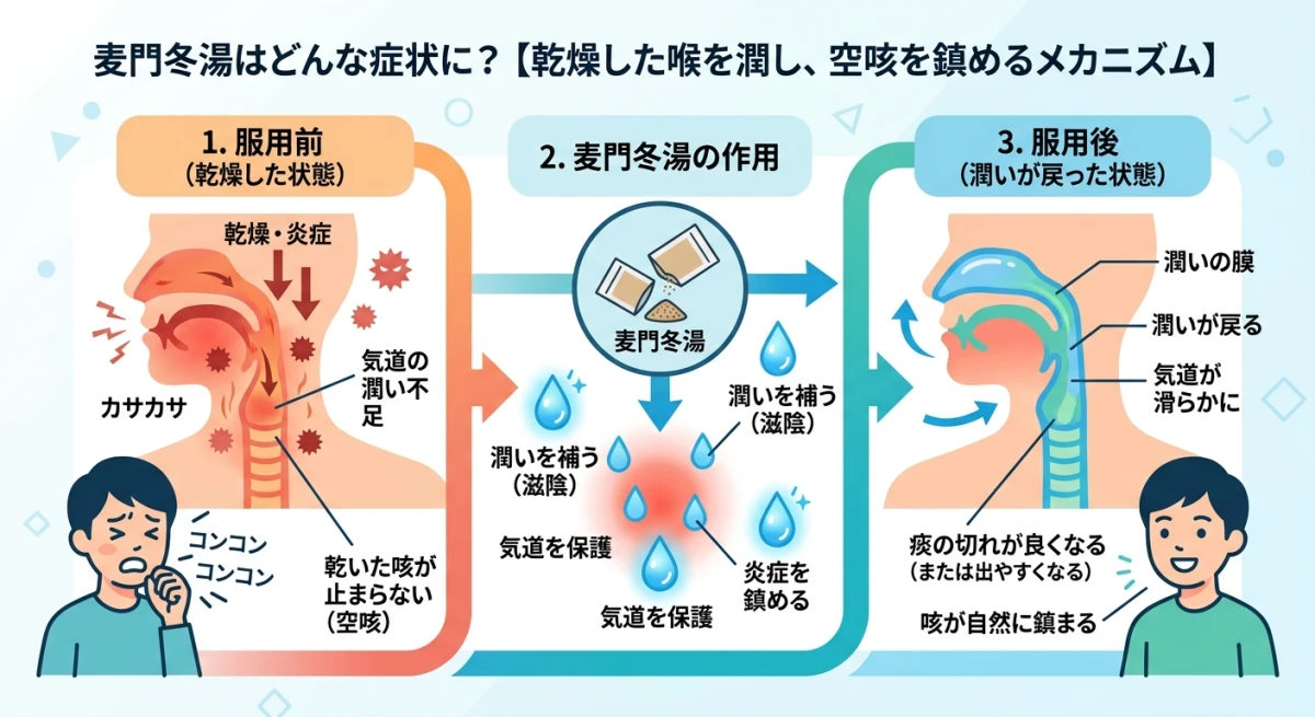 麦門冬湯が喉の乾燥や空咳に作用するメカニズム