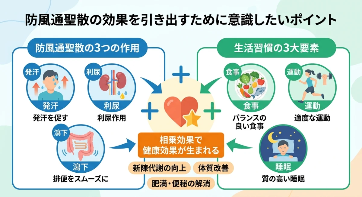 防風通聖散の作用と生活習慣