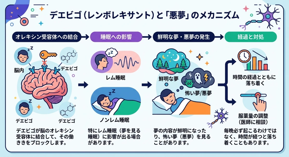 デエビゴ服用時に夢が鮮明になるメカニズムの解説図