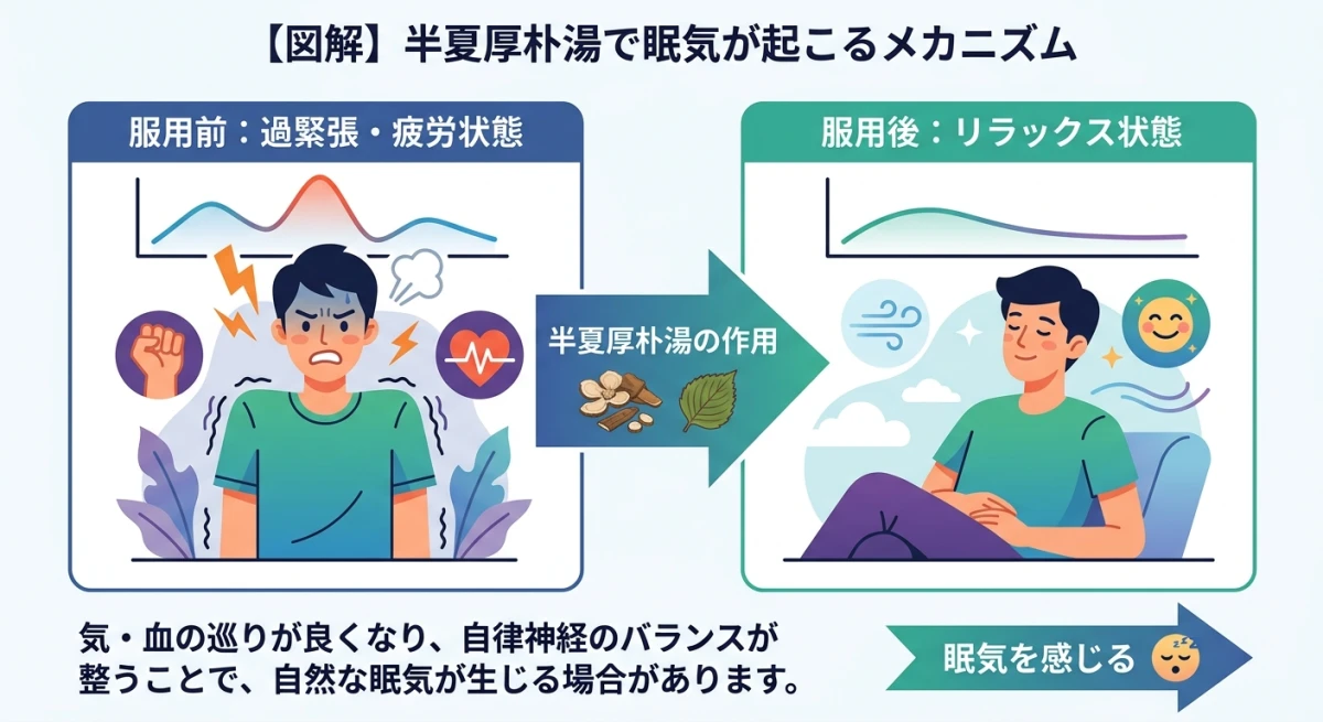 漢方服用によるリラックスと眠気のメカニズム図