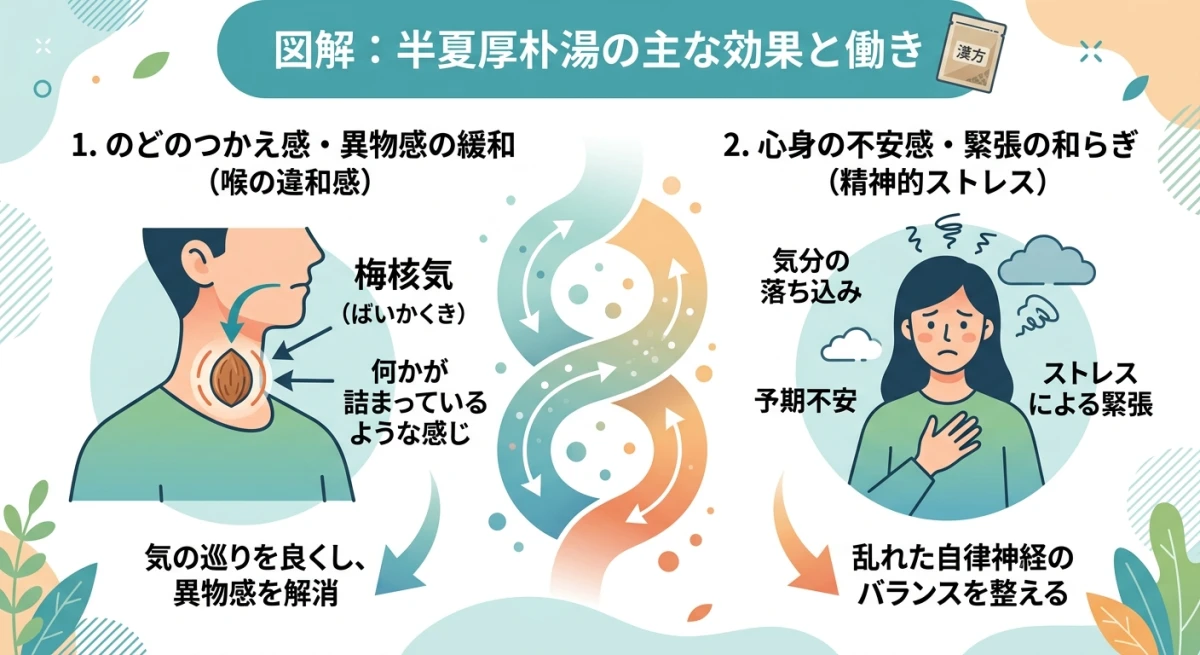 のどのつかえ感と不安感が半夏厚朴湯によって改善されるメカニズム