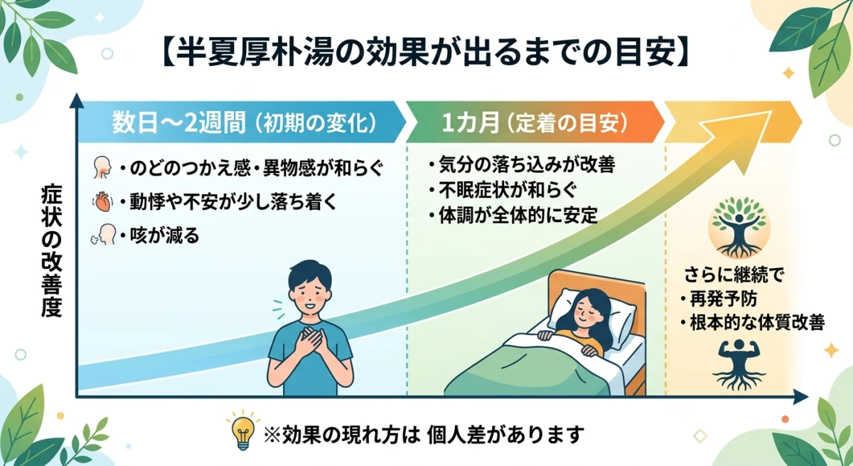 半夏厚朴湯の効果が出るまでの期間と変化の目安