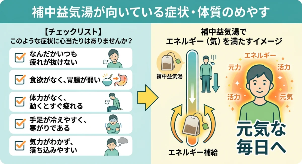 補中益気湯が向いている体質と症状