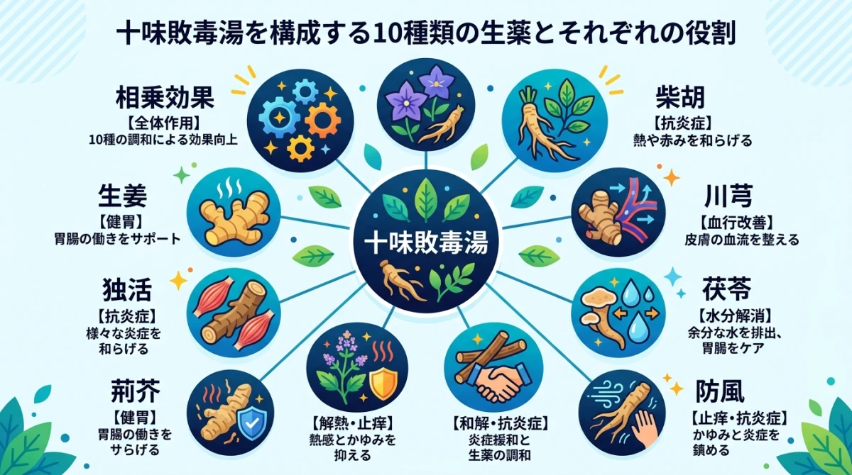 十味敗毒湯に含まれる10種の生薬