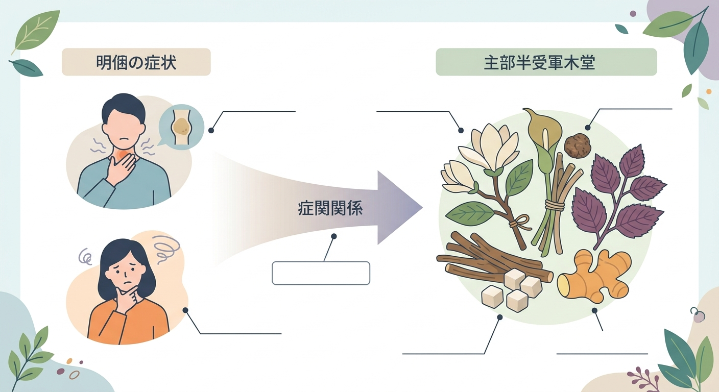半夏厚朴湯の効果を示す図解で、左側にのどのつかえ・不安感などの症状アイコン、中央に橋渡しの矢印、右側に漢方薬のイメージを配置したブリッジ型の説明図