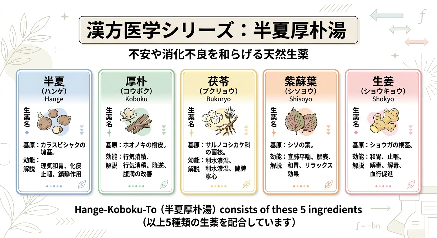 半夏厚朴湯を構成する生薬の種類とはたらき