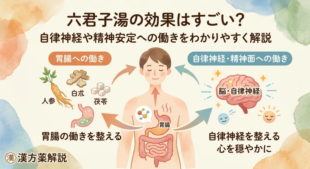 六君子湯が胃腸と自律神経を整える様子を表したイラスト