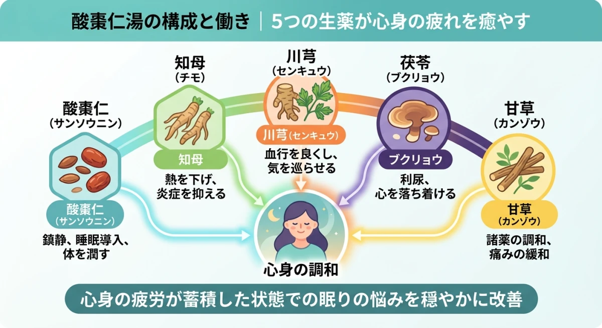 酸棗仁湯の成分イメージ
