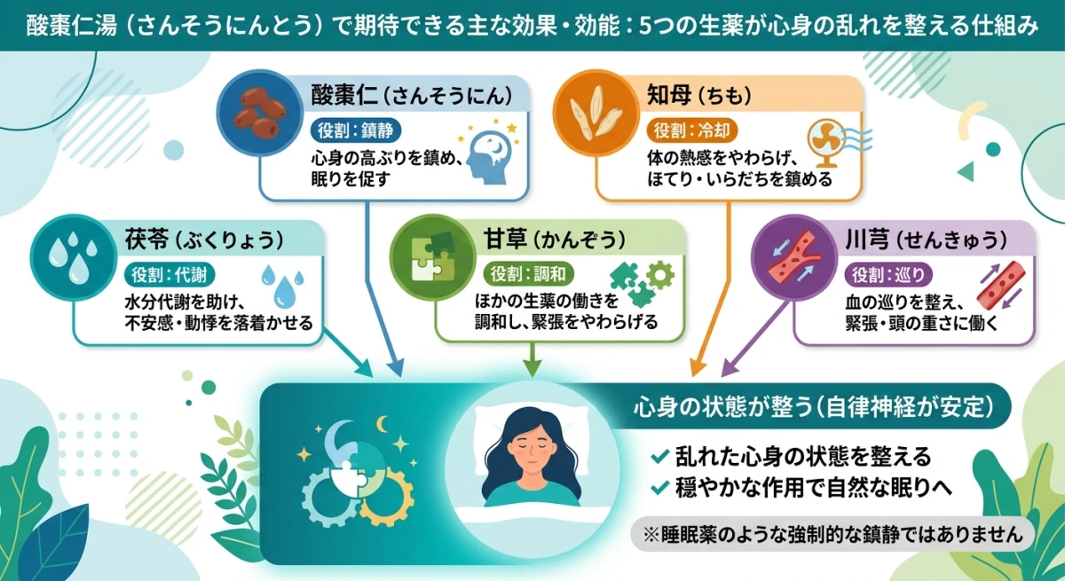 酸棗仁湯に含まれる5つの生薬