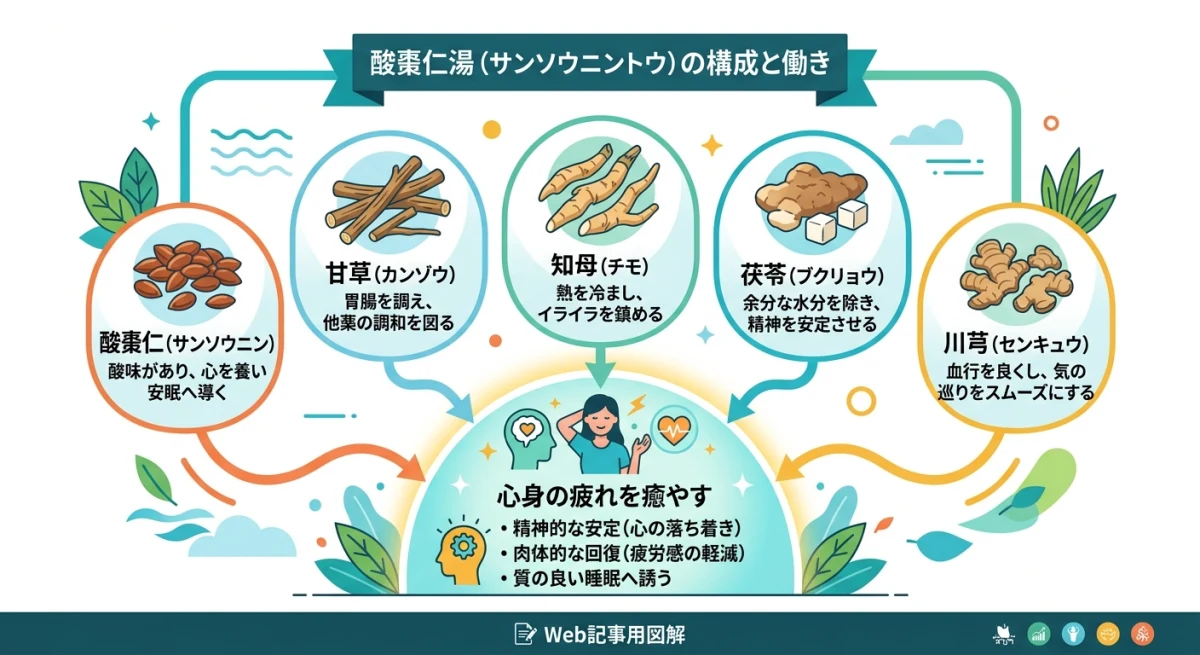 酸棗仁湯の5つの生薬