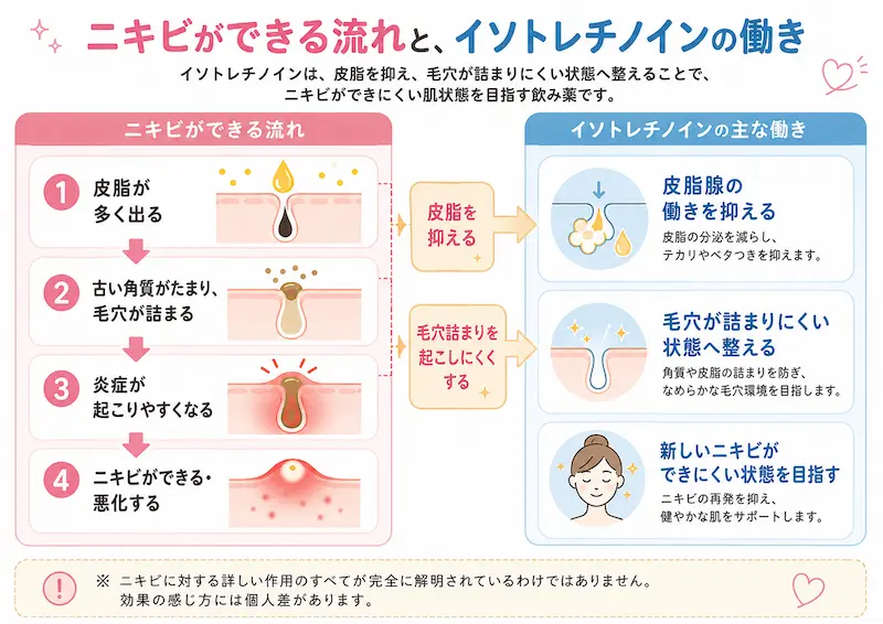 イソトレチノインに期待される効果