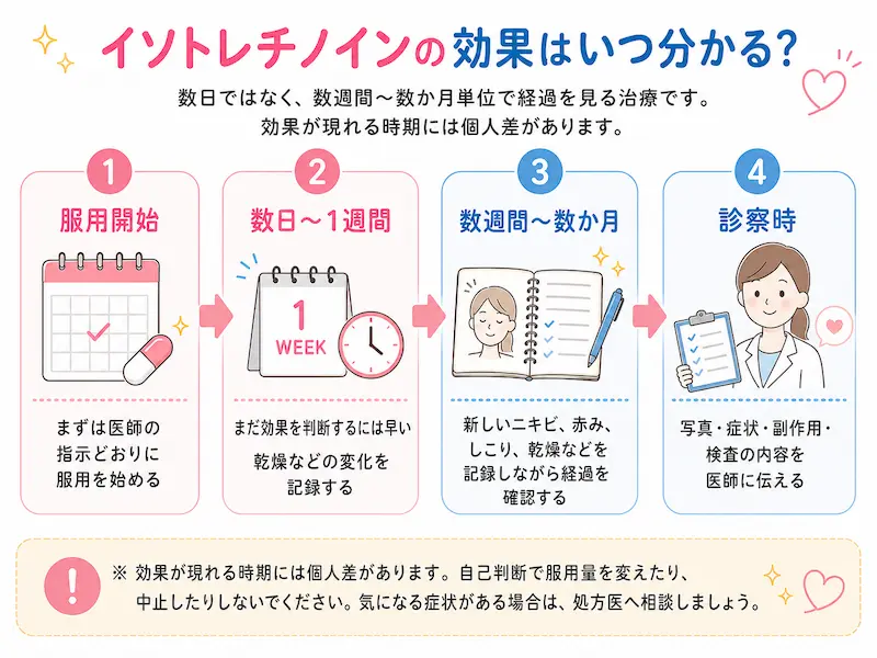イソトレチノインの効果はいつから分かる?